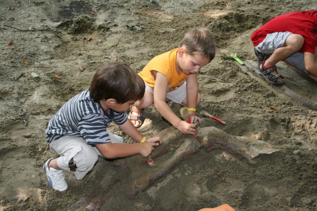 Picture of children's dinosaur bone excavation in Styrassic Park